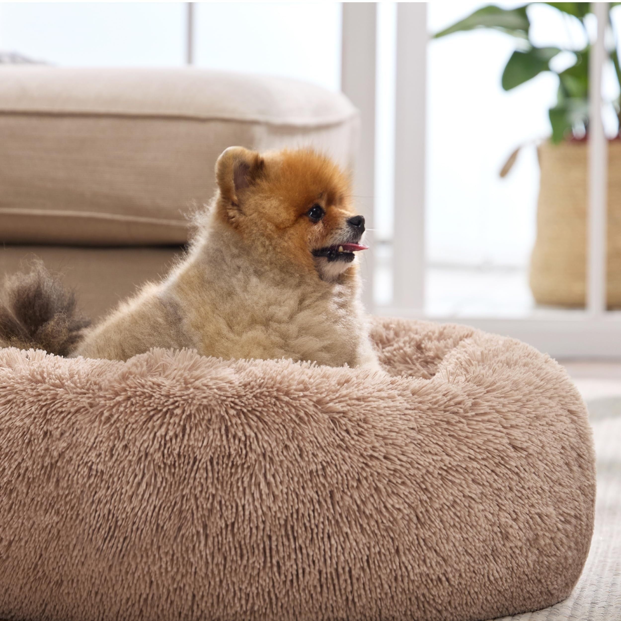 1pc Calming Dog & Cat Bed, Donut Cuddler Warming Cozy Soft Round Bed, Fluffy Faux Fur Plush Cushion Bed For Small Medium And Large Dogs And Cats (40.64cm/50.8cm/60.96cm/71.12cm/78.74cm/99.06cm) Rivano